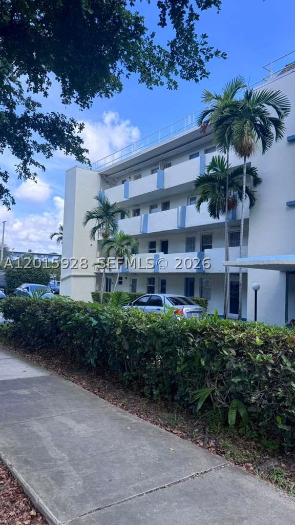 Miami photo 1
