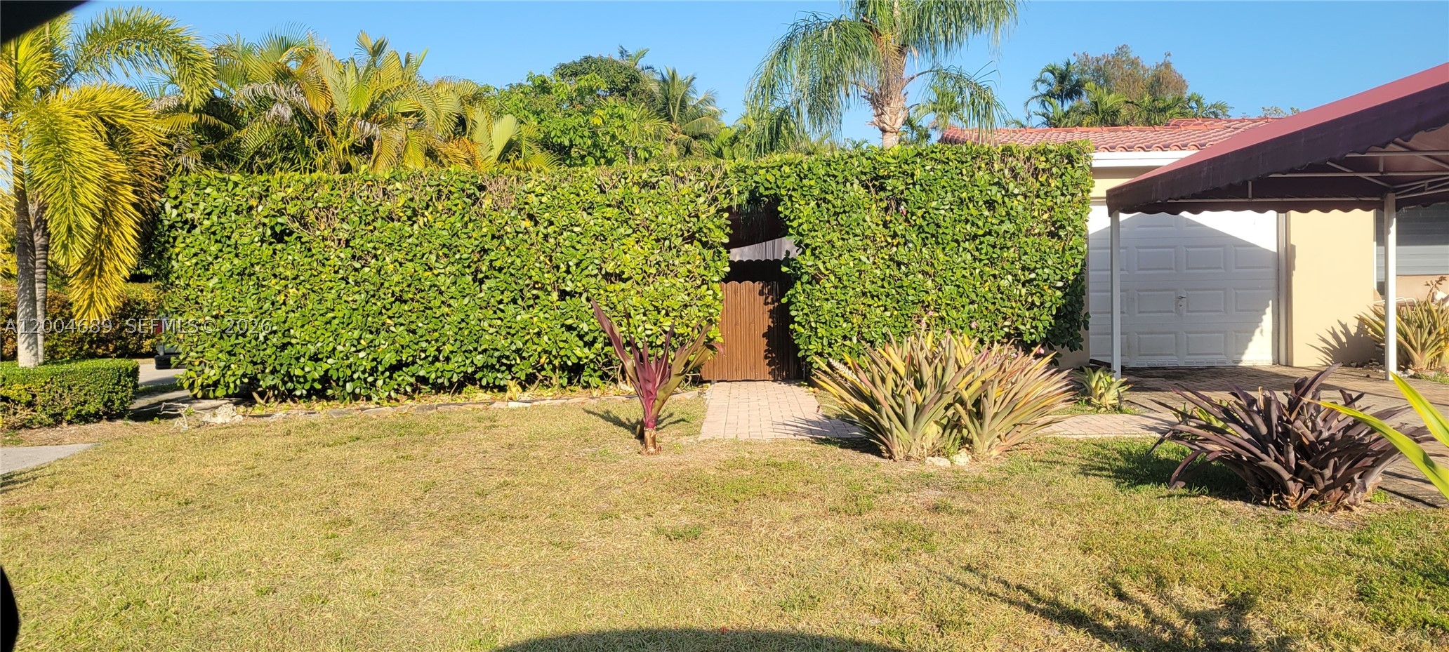 South Miami photo 5