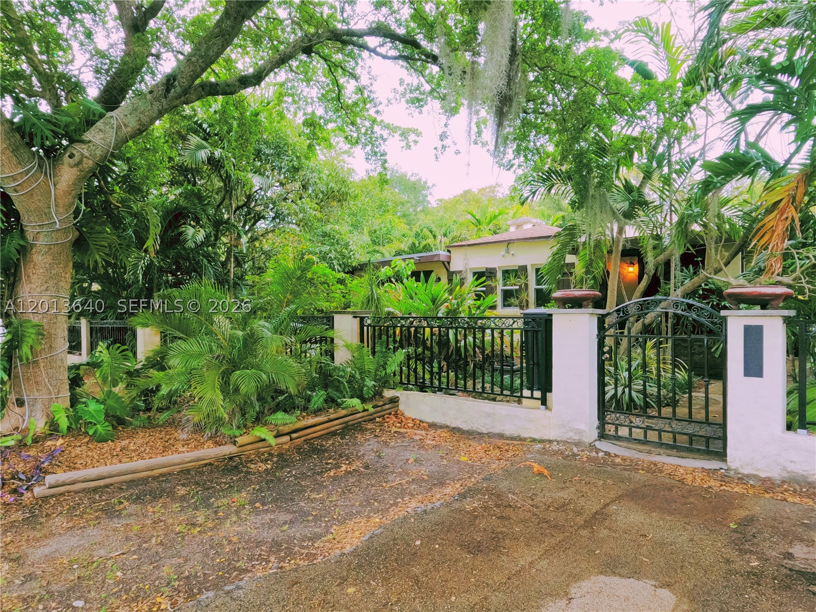 North Miami photo 3