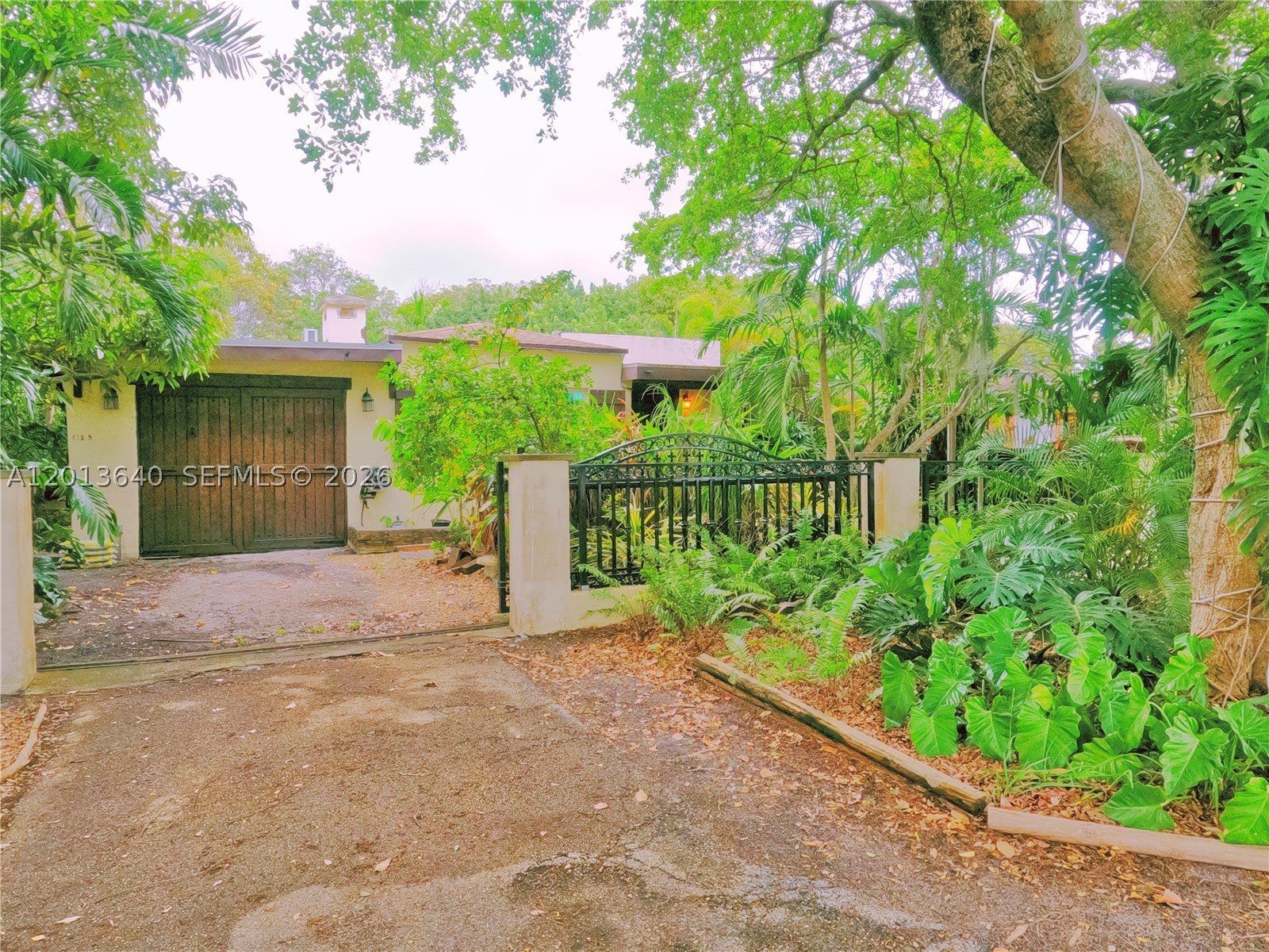 North Miami photo 4