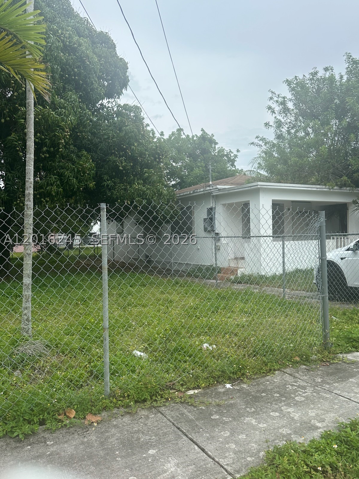 Miami photo 1