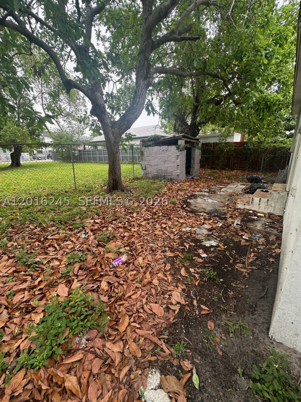 Miami photo 2
