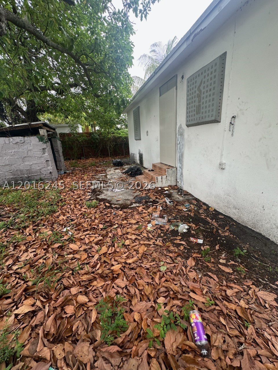 Miami photo 3