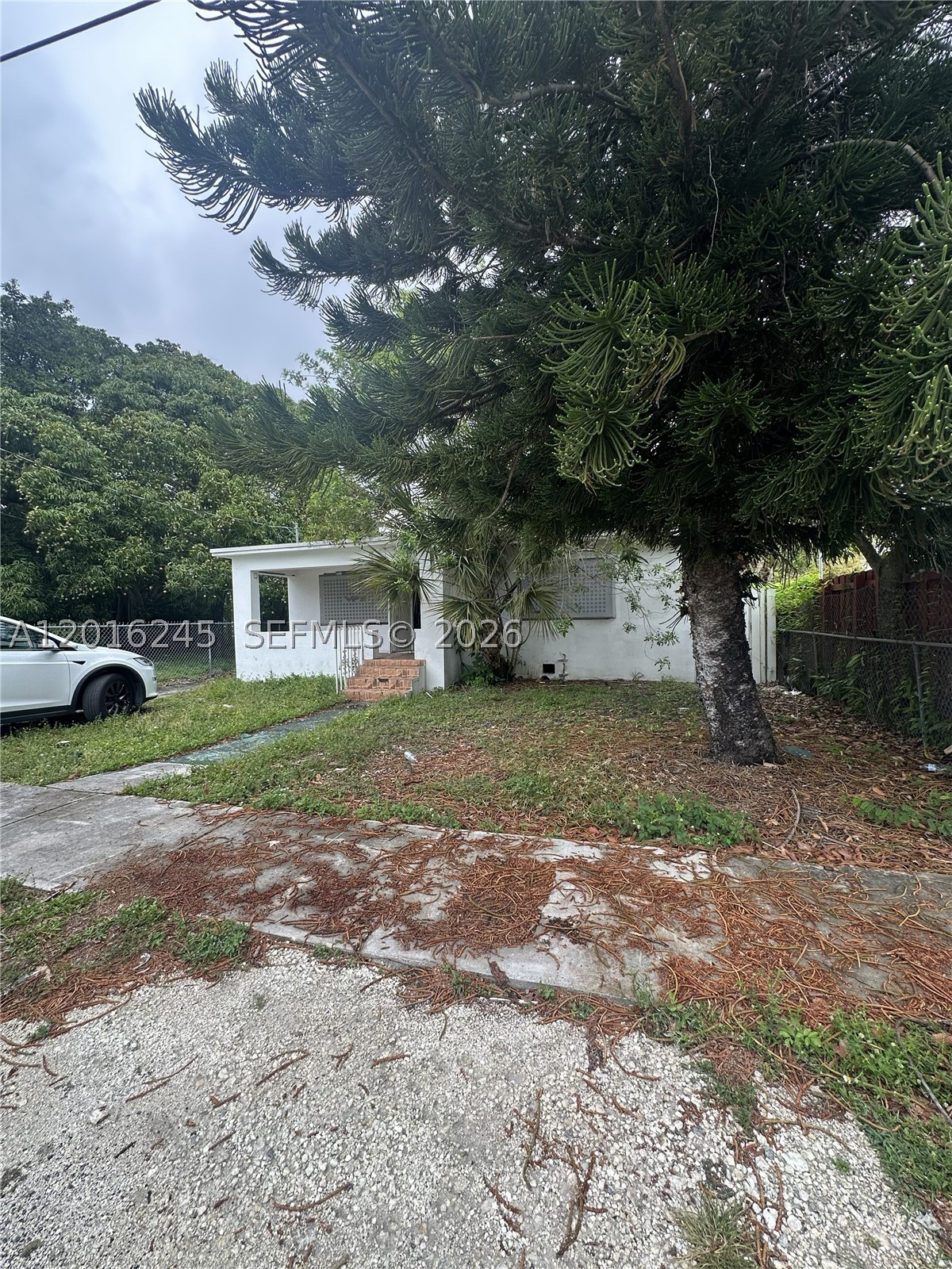 Miami photo 4