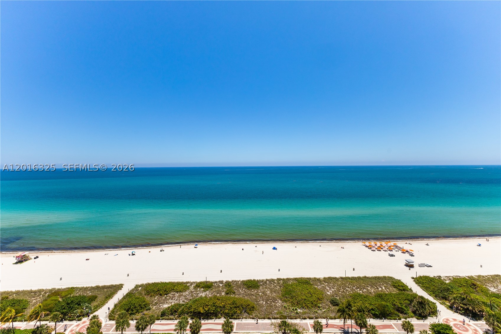 Miami Beach photo 4