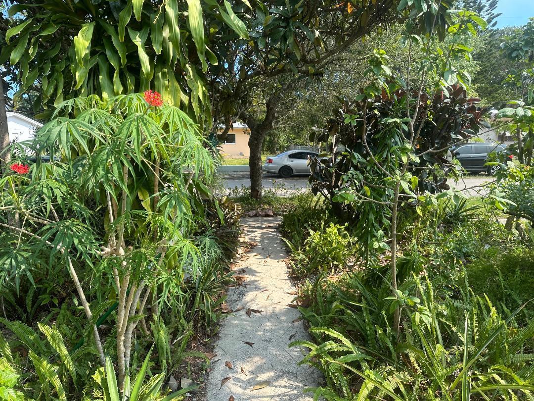 North Miami Beach photo 2