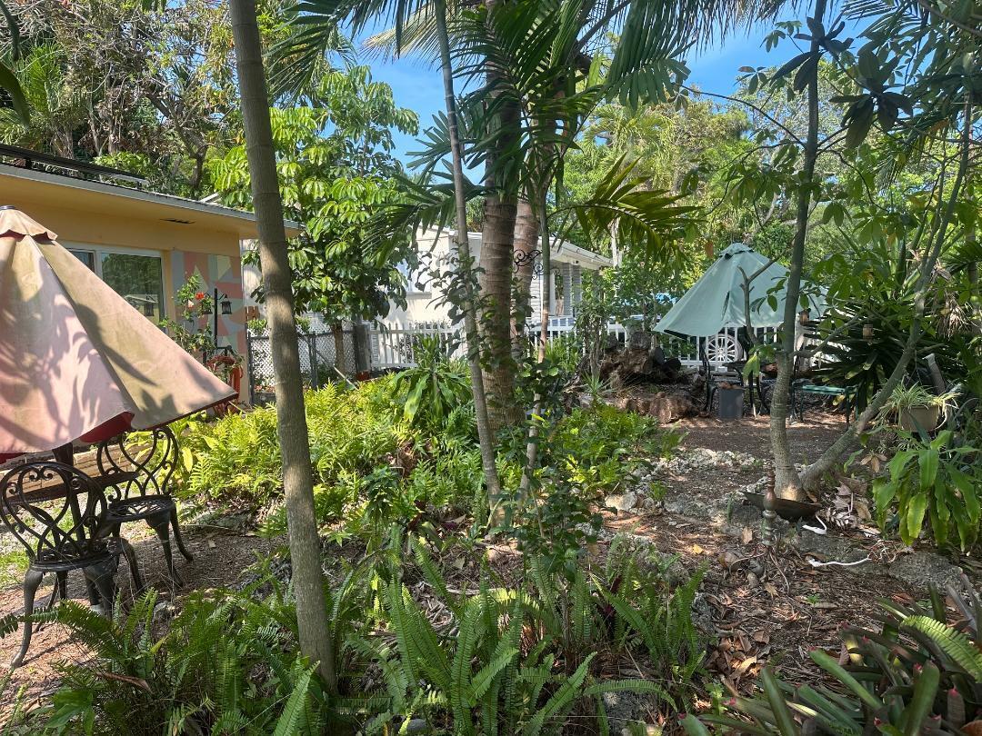 North Miami Beach photo 4