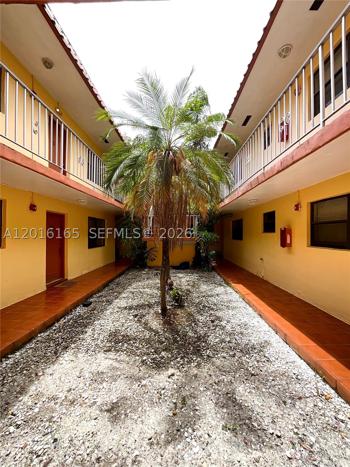 North Miami Beach photo 3