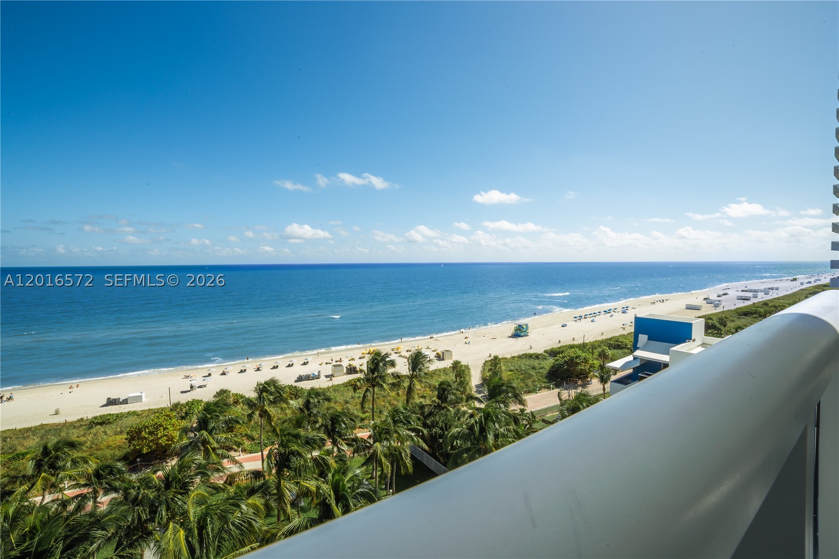 Miami Beach photo 3