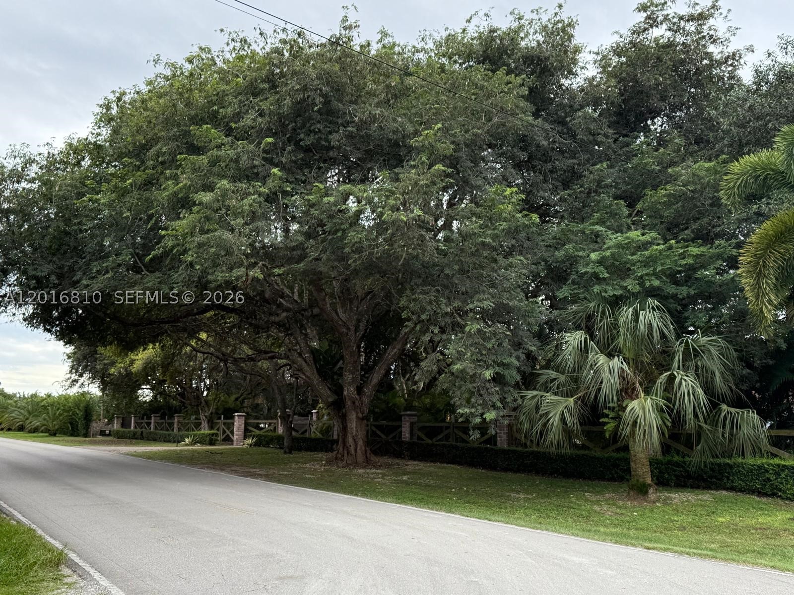 Homestead photo 3