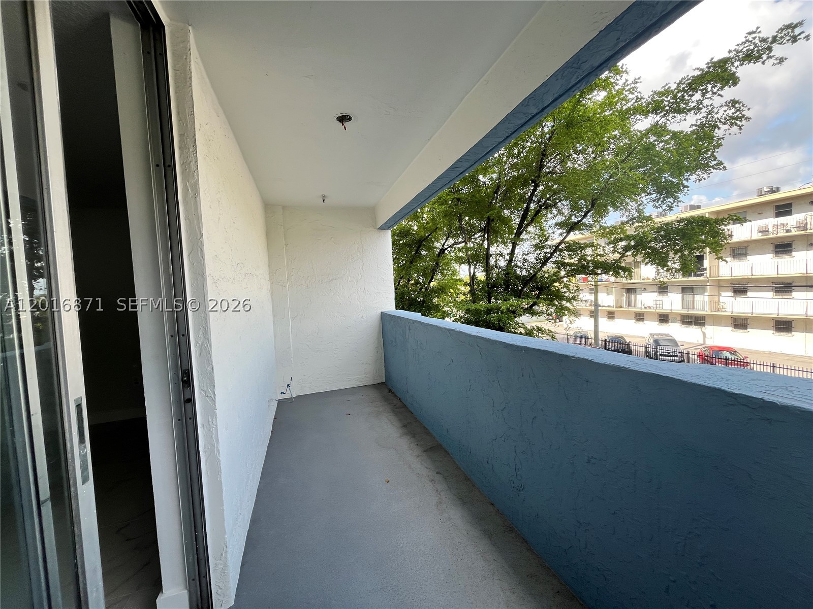 Miami photo 2