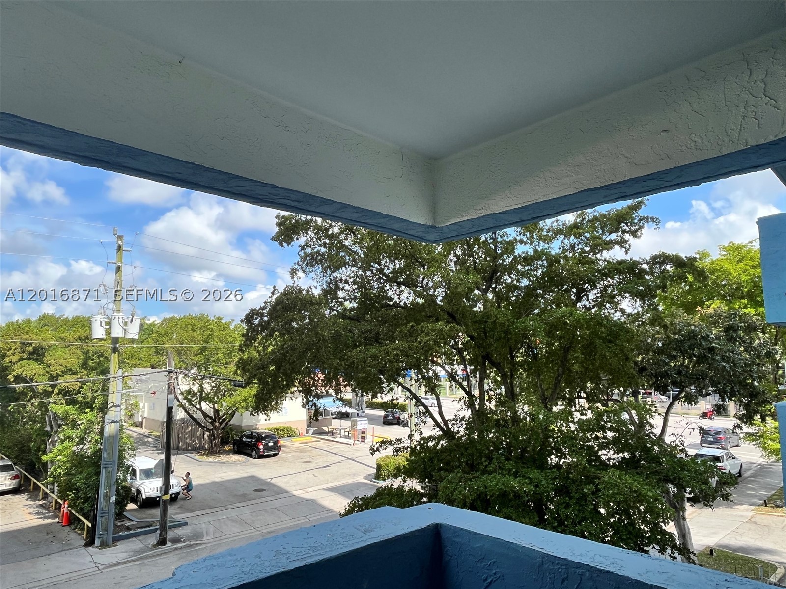 Miami photo 3