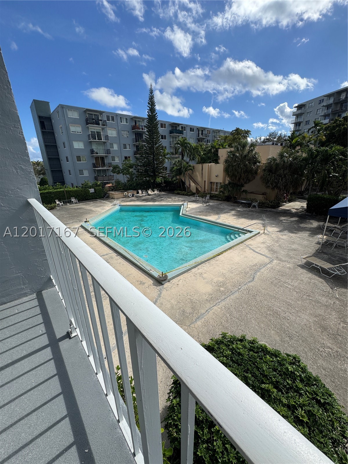 North Miami photo 2