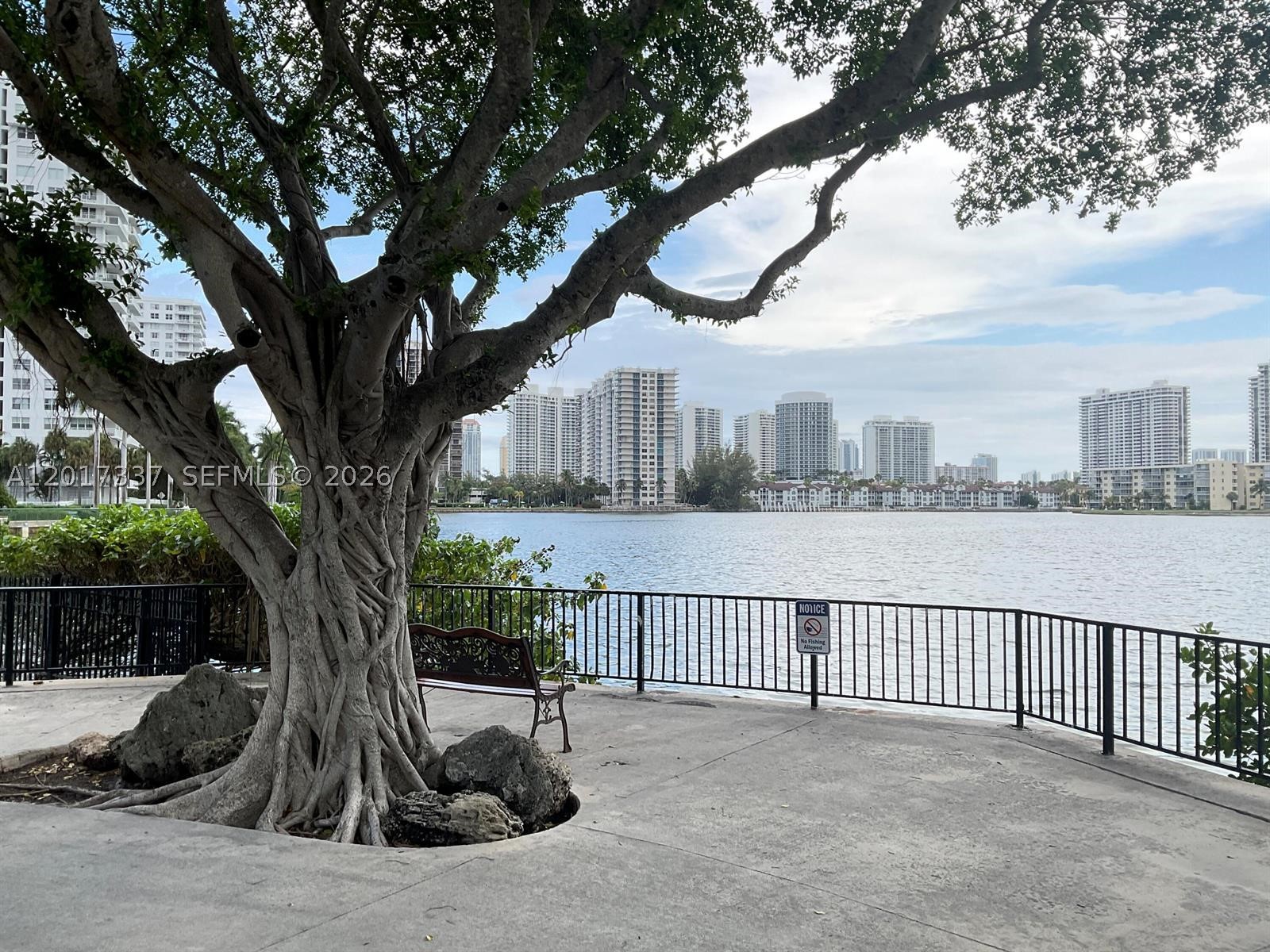 Aventura photo 2