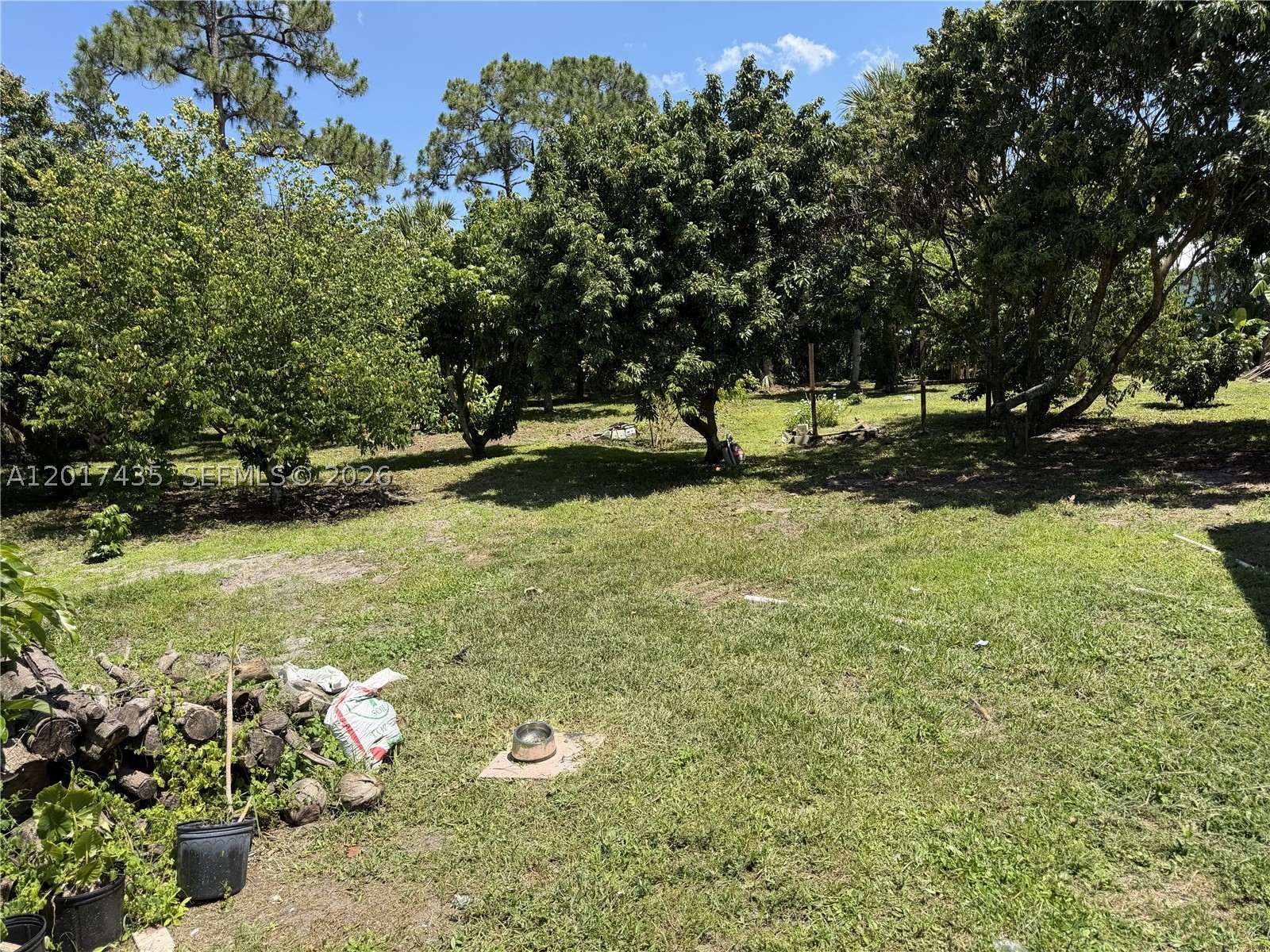 Palm Beach Gardens photo 2