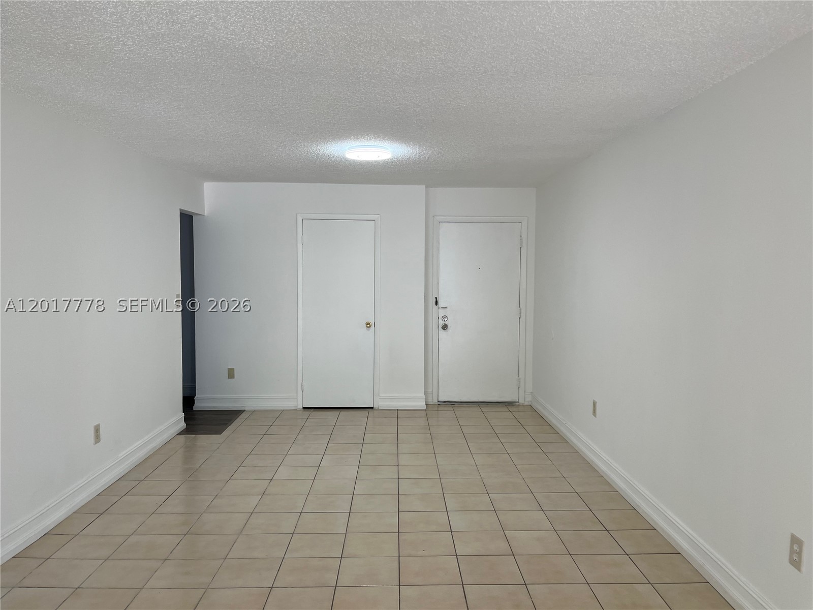 Miami photo 4
