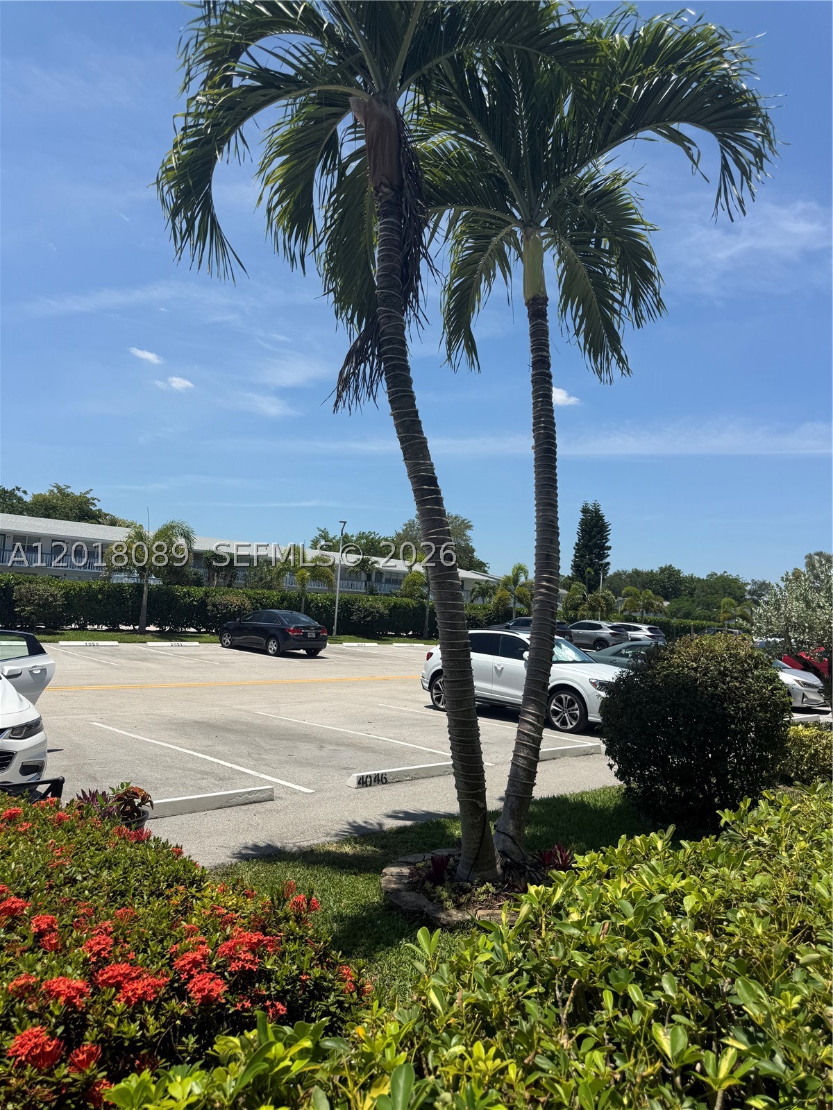 Deerfield Beach photo 3