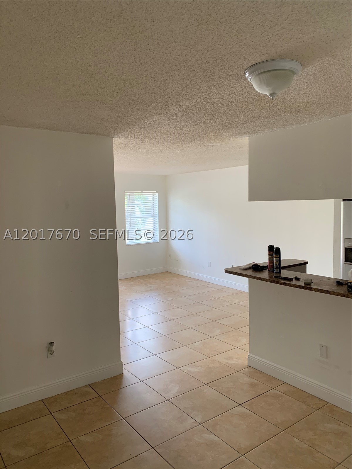 Miami photo 5