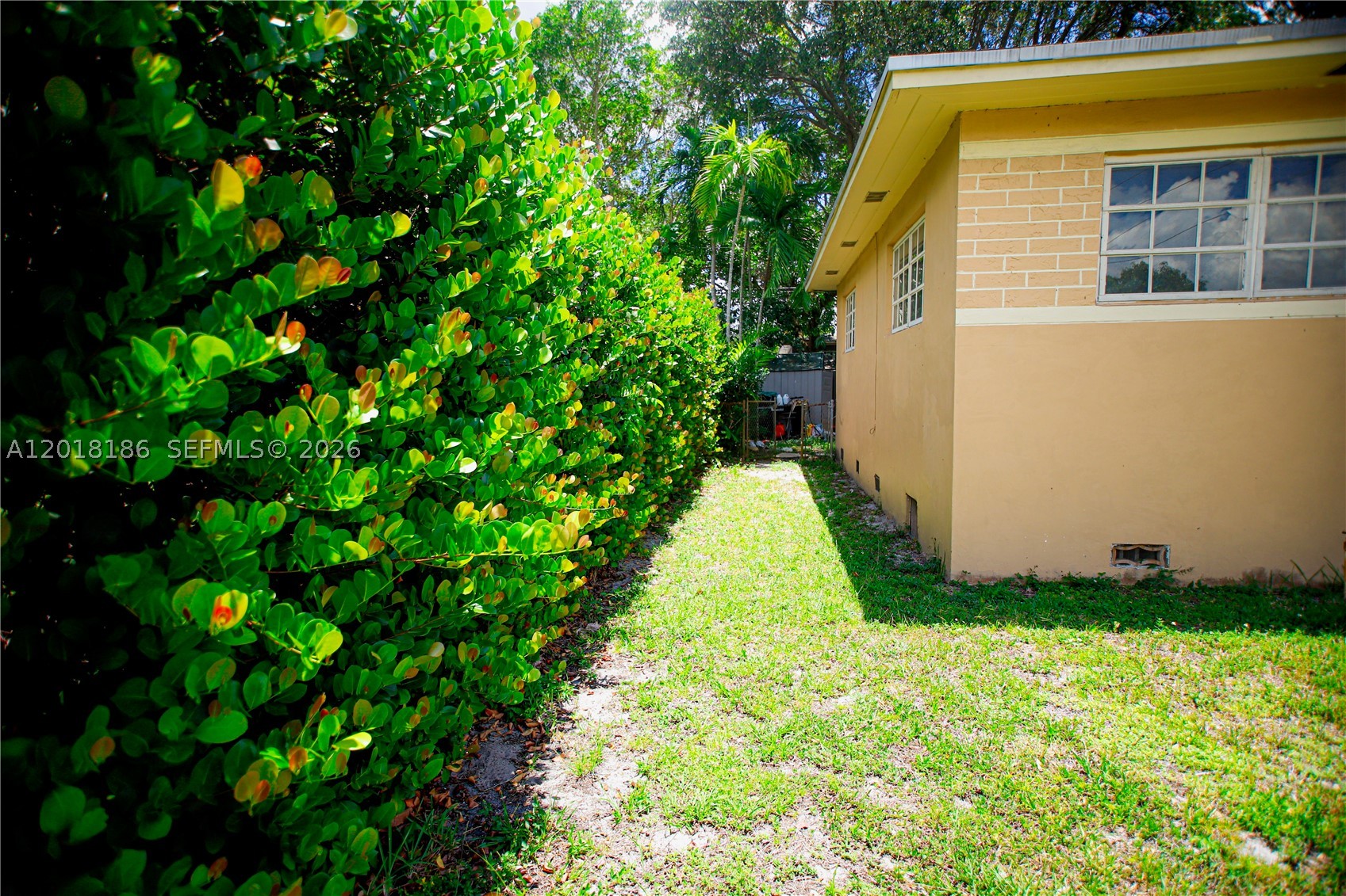 North Miami Beach photo 3