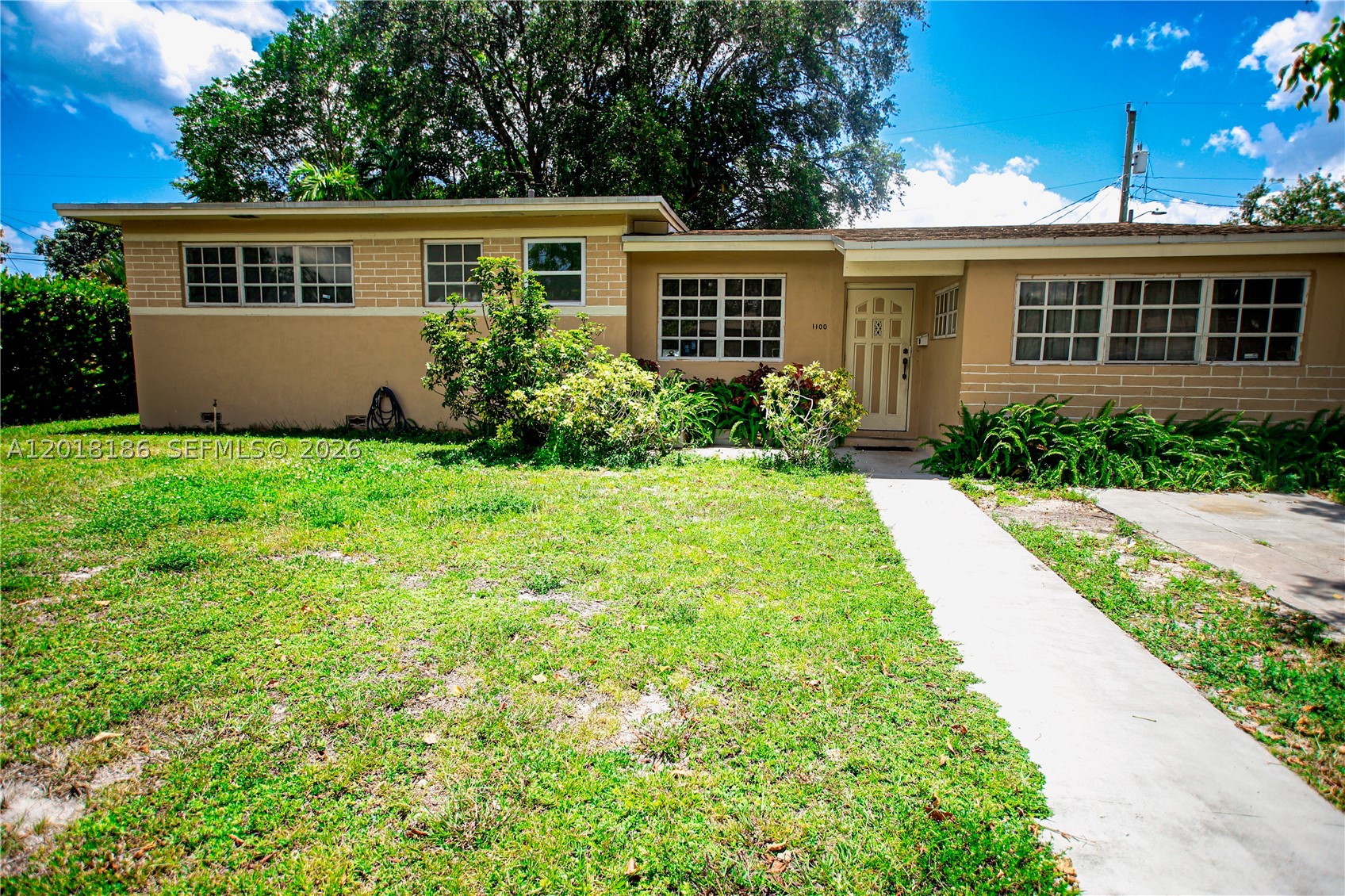 North Miami Beach photo 4