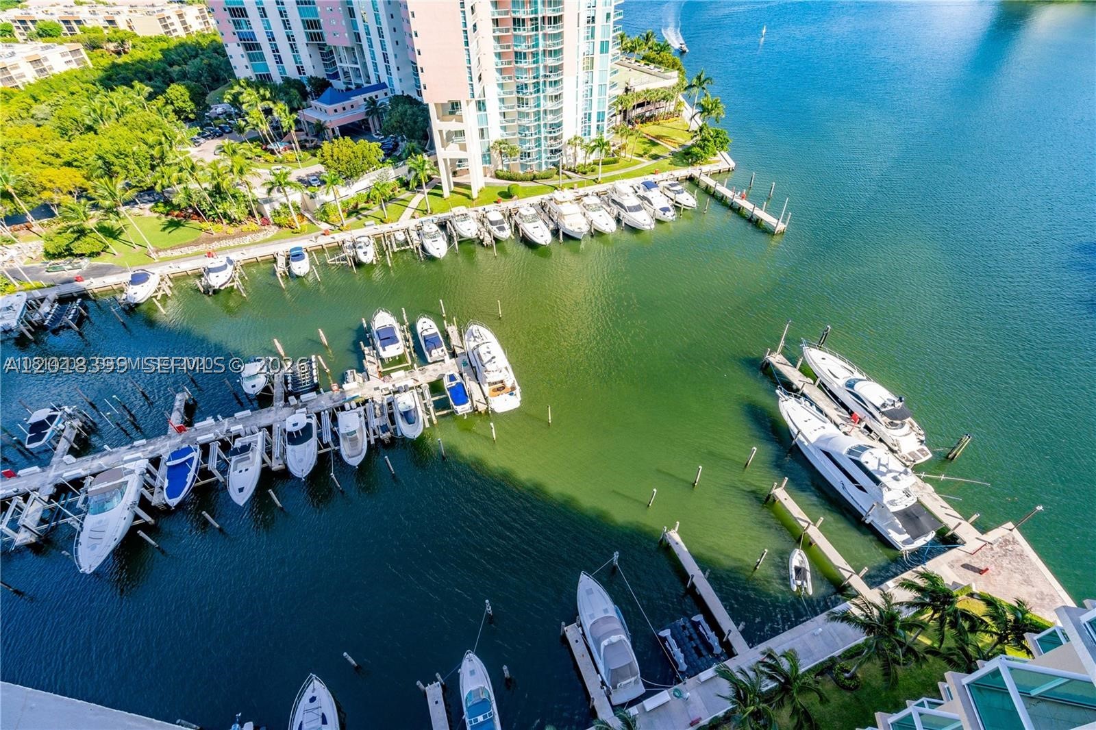 Aventura photo 4