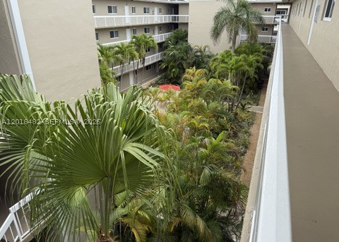 Miami photo 2
