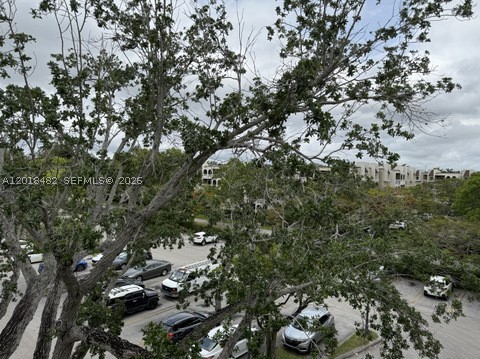 Miami photo 5