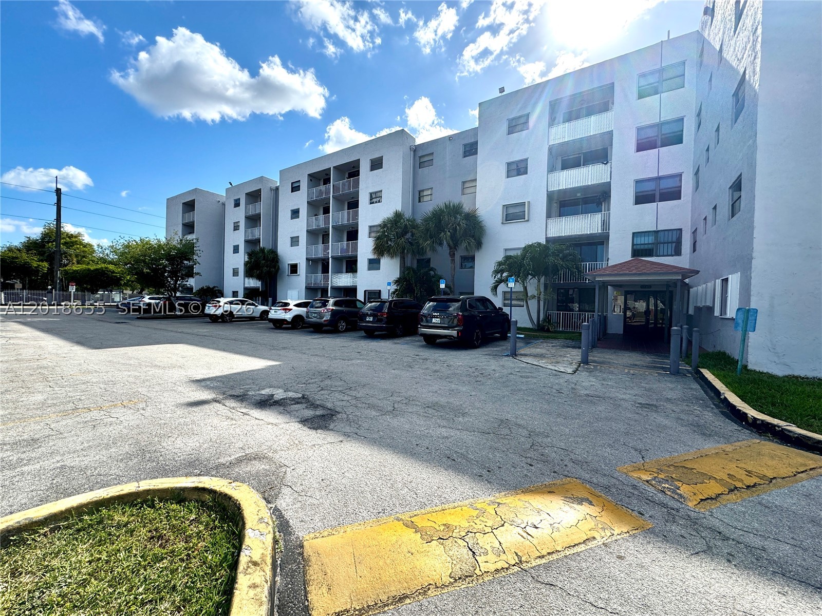 Miami photo 1