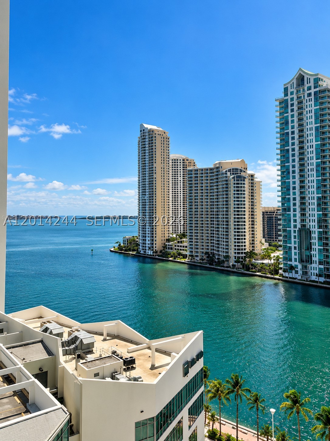 Miami photo 2