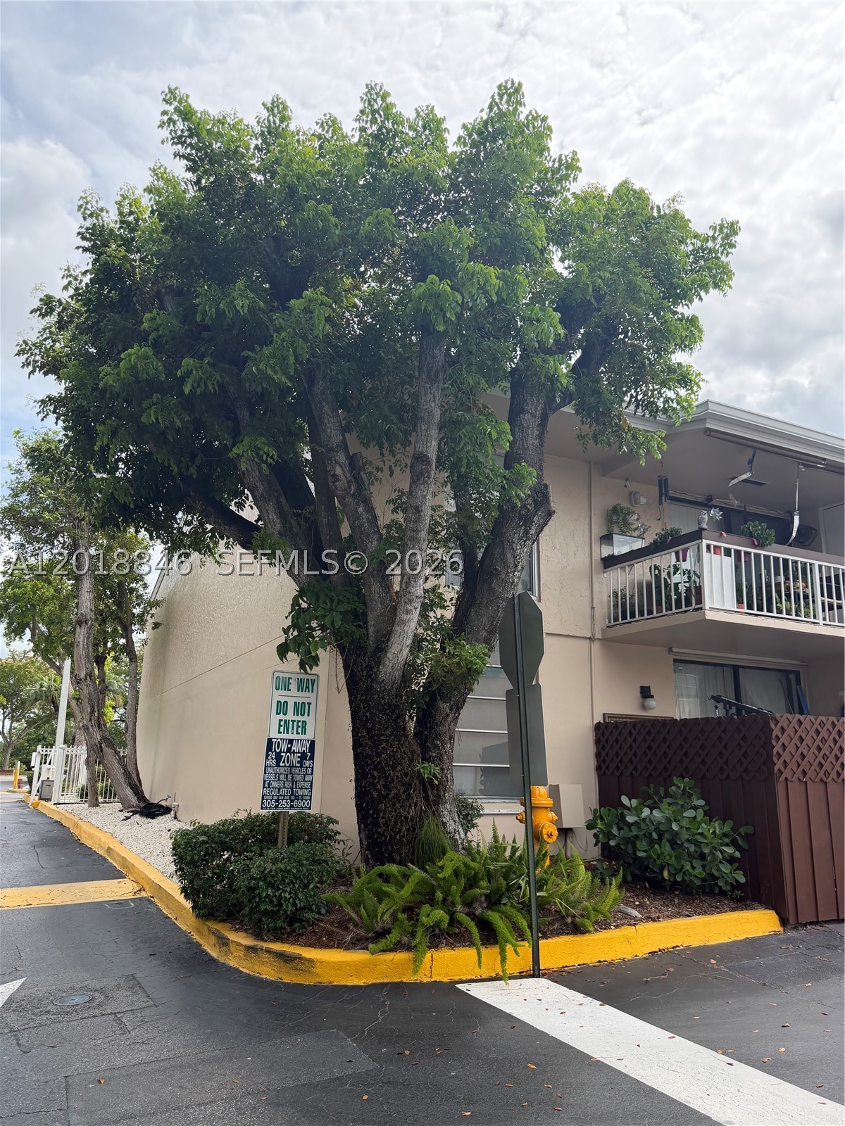 Miami photo 1
