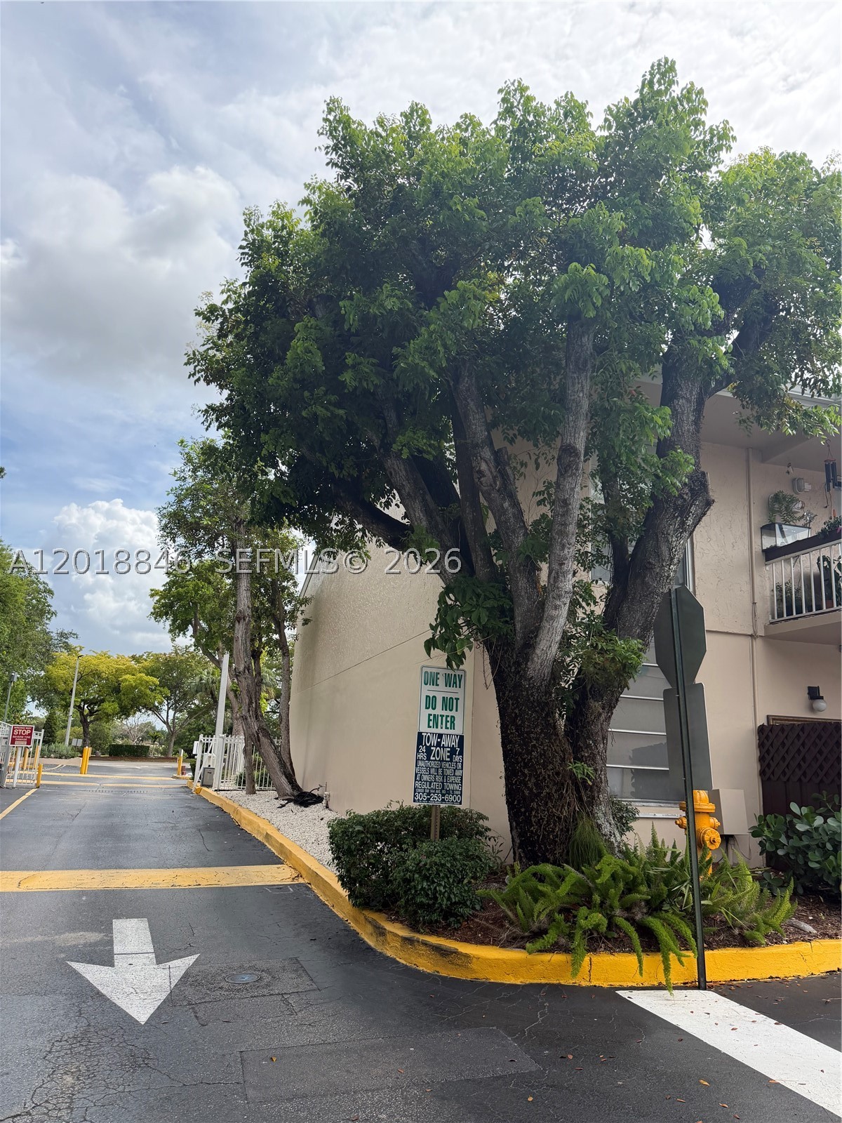 Miami photo 2