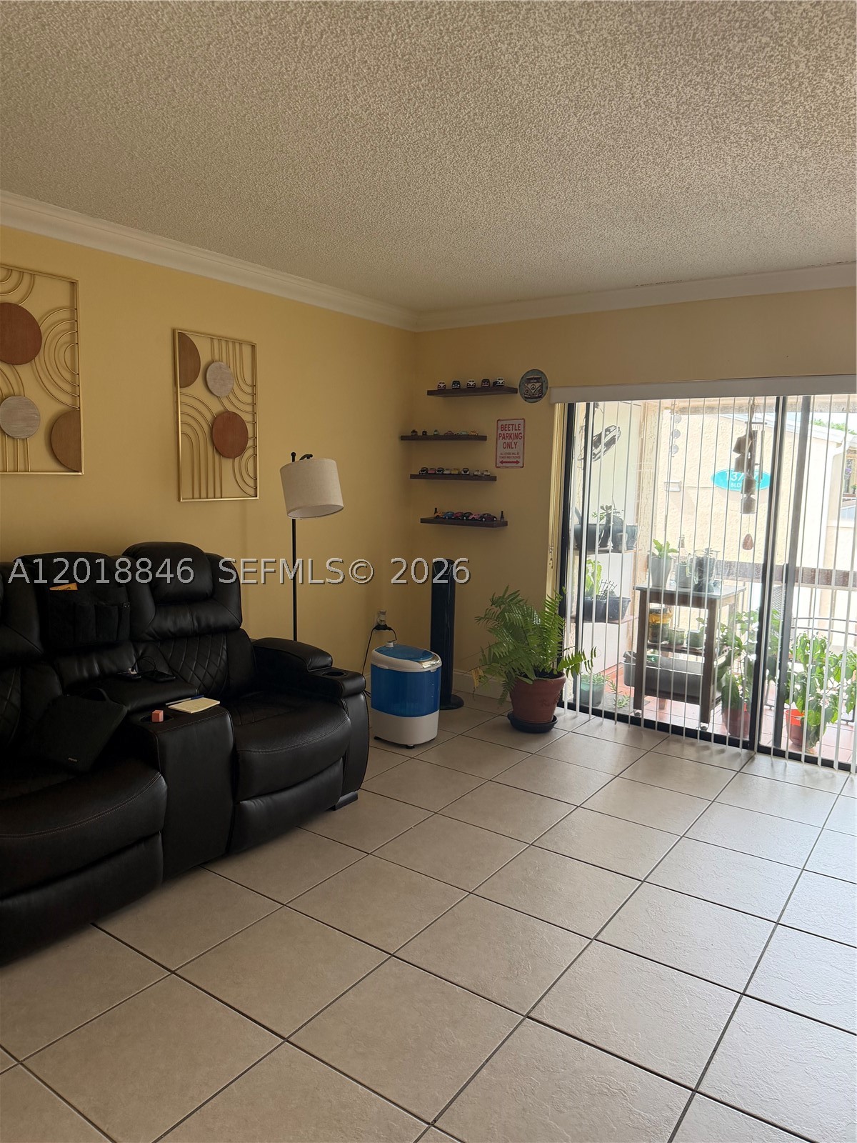 Miami photo 5