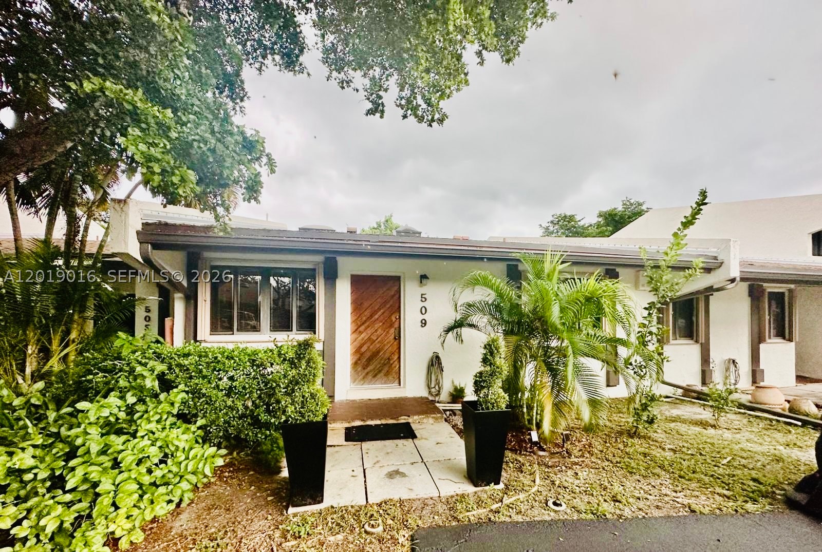 Miami photo 1