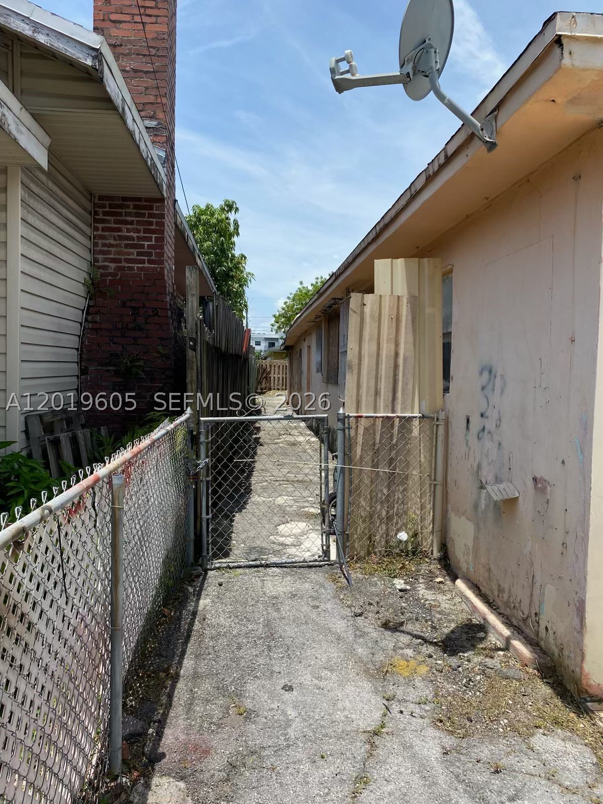 Miami photo 5