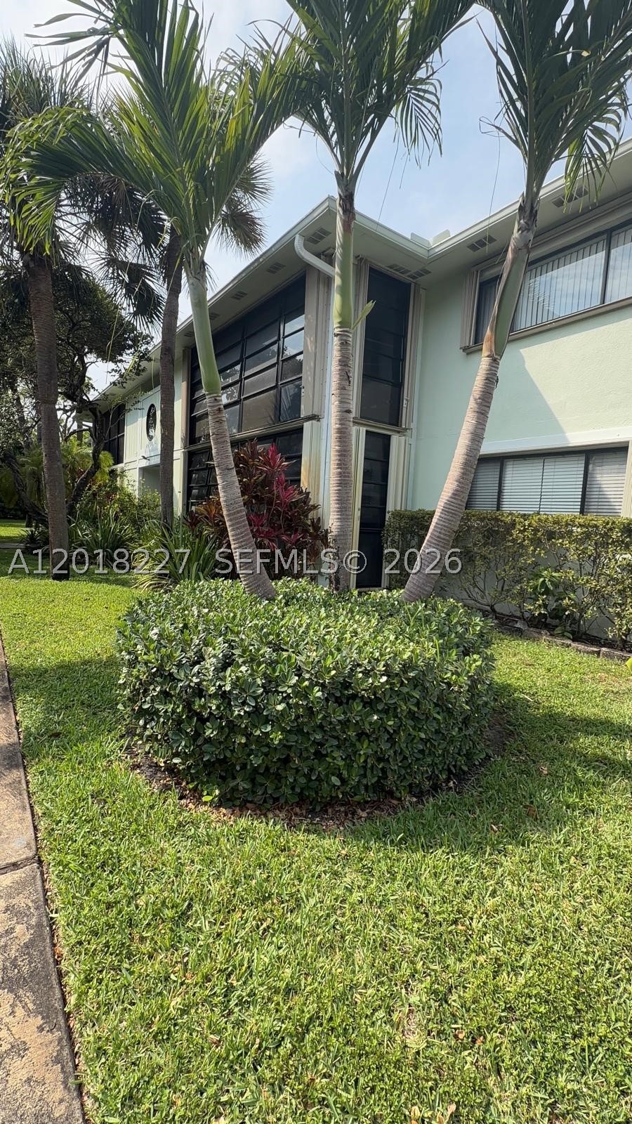 Miami photo 1
