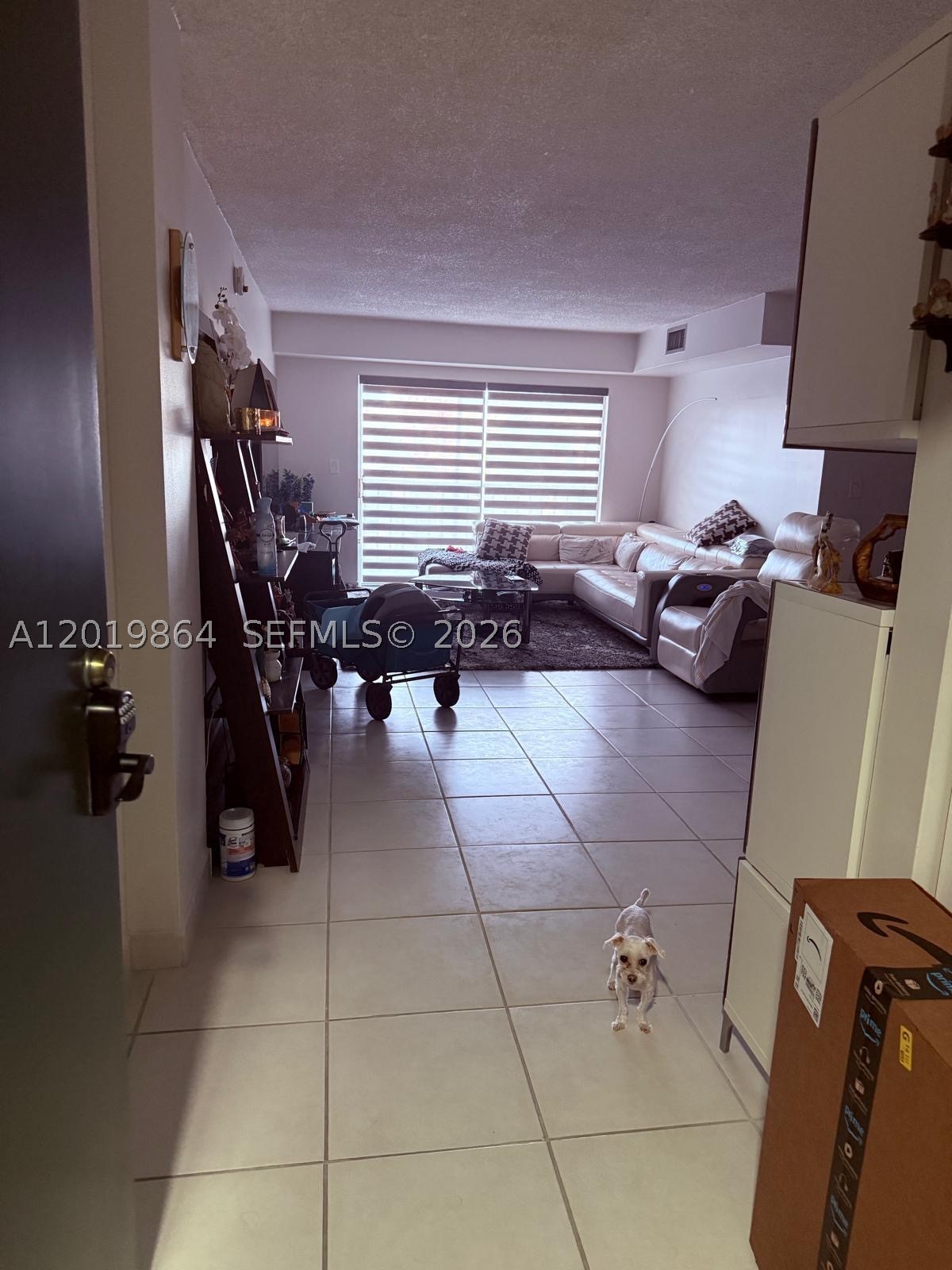 North Miami photo 3