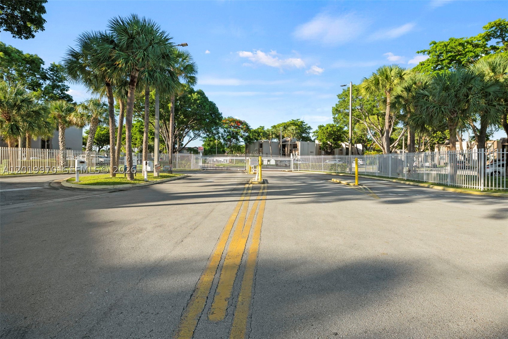 Miami photo 5