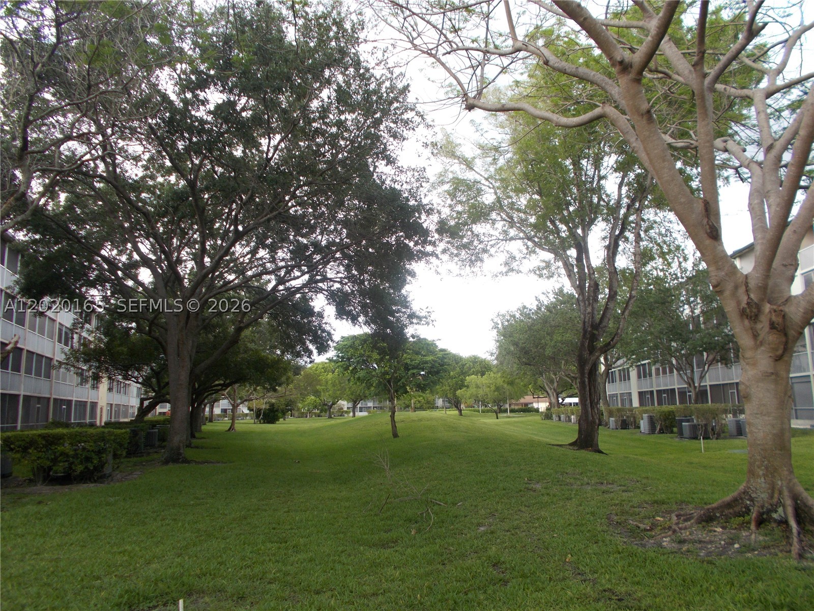 Pembroke Pines photo 5
