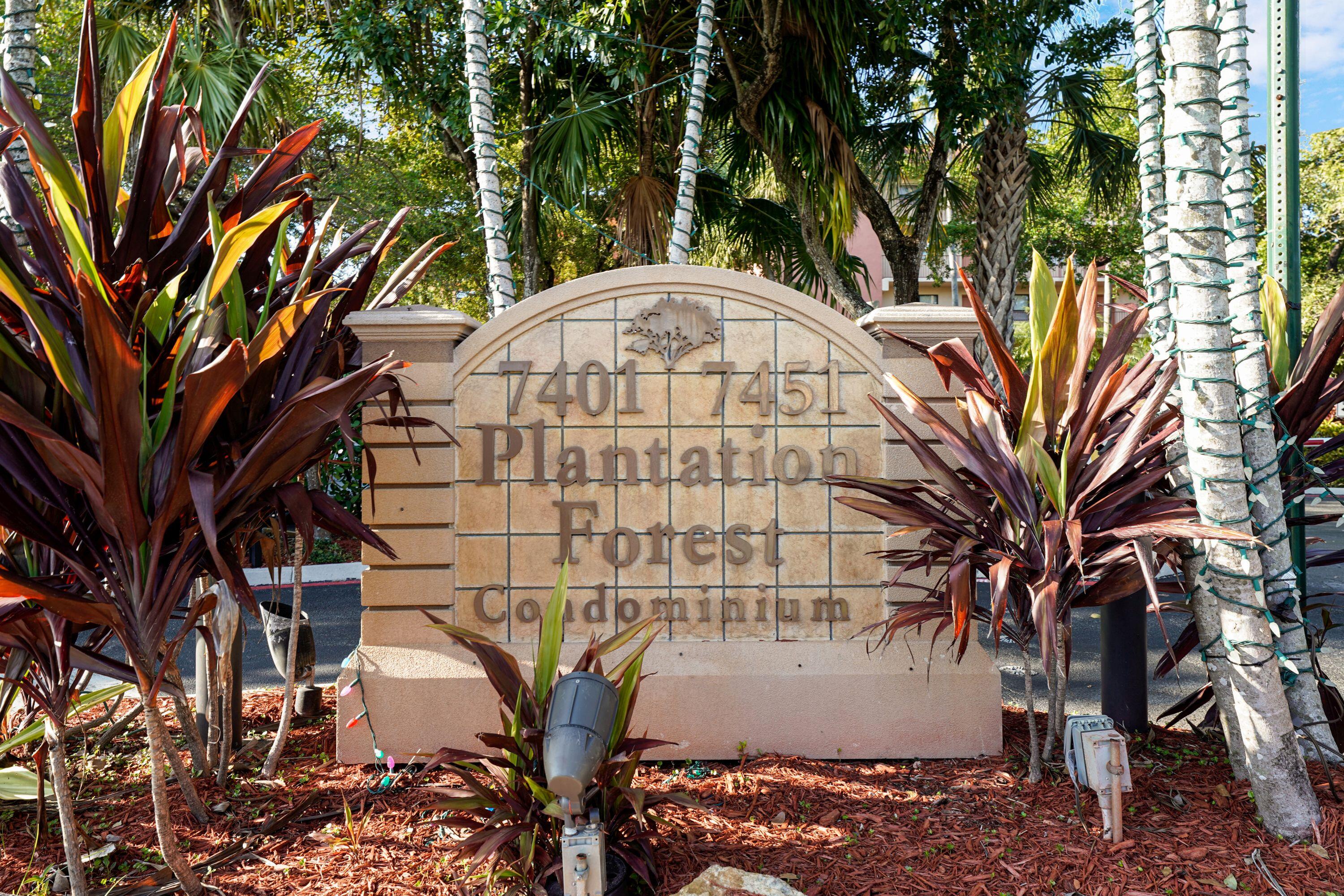 Plantation photo 2
