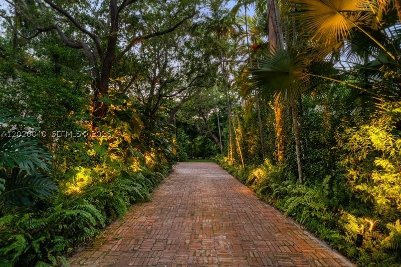 Miami Beach photo 3