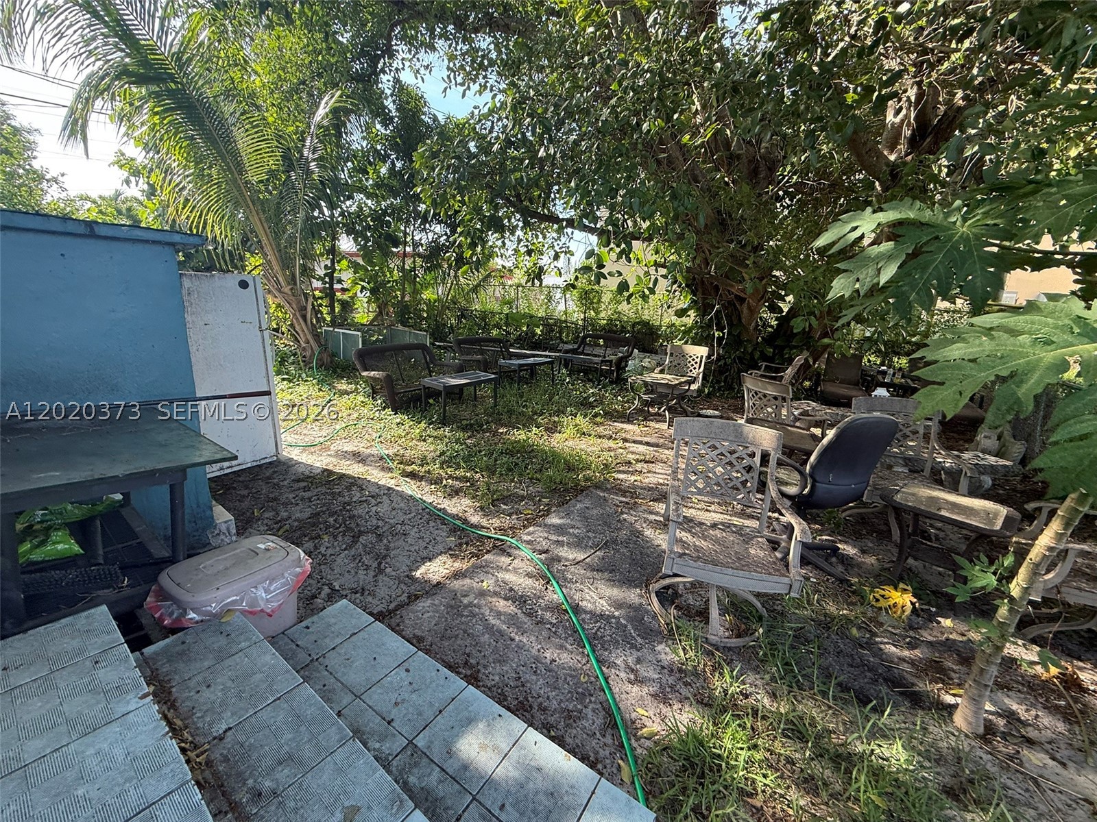 Dania Beach photo 4