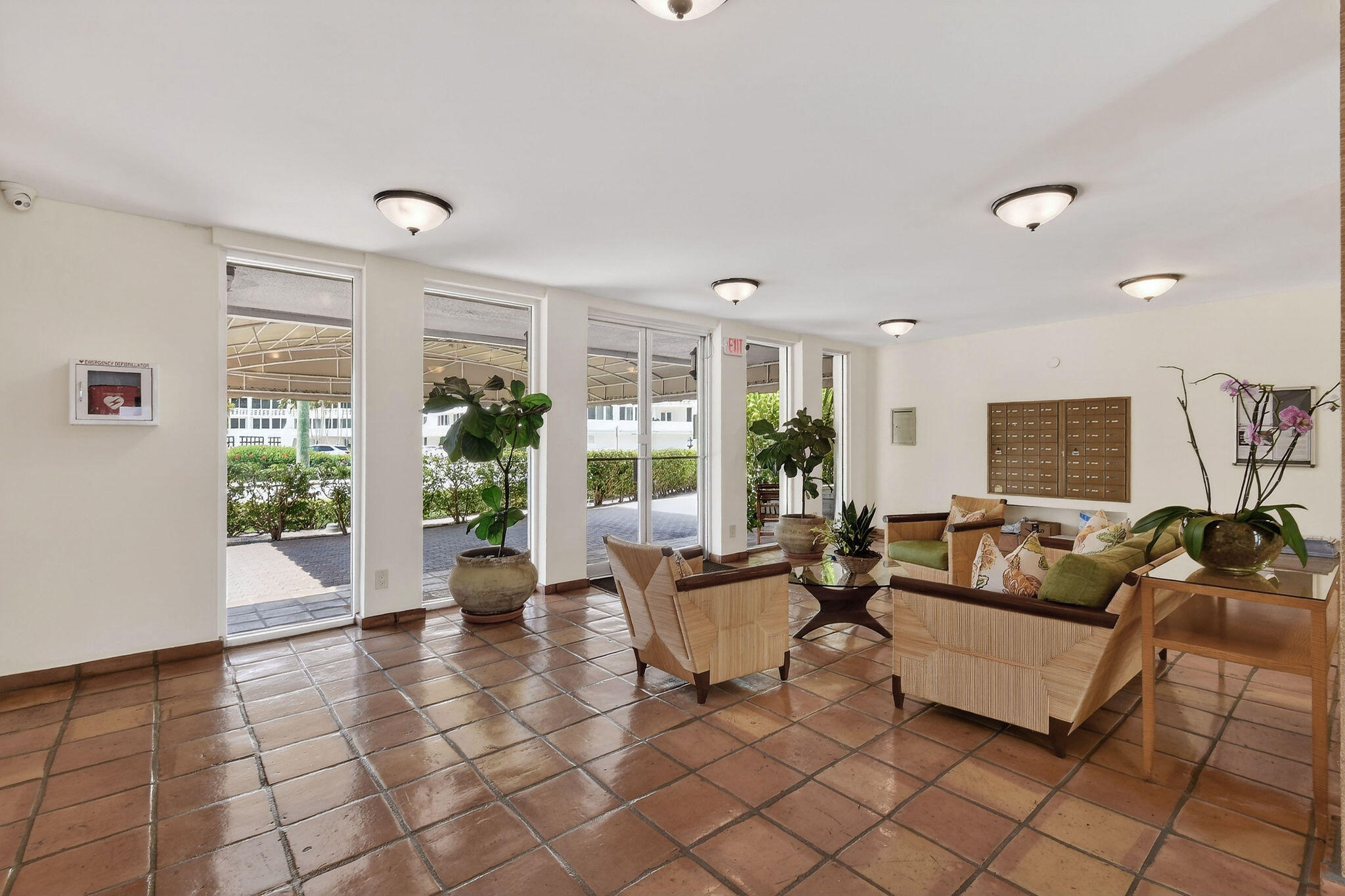 Palm Beach photo 5