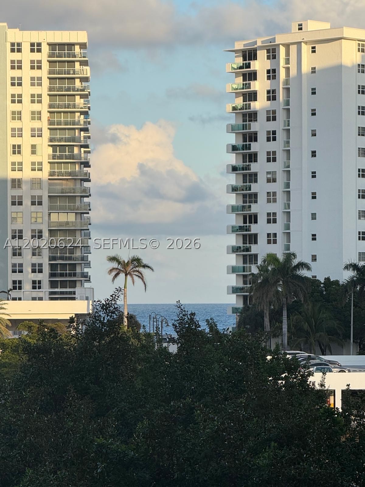 Hallandale Beach photo 5