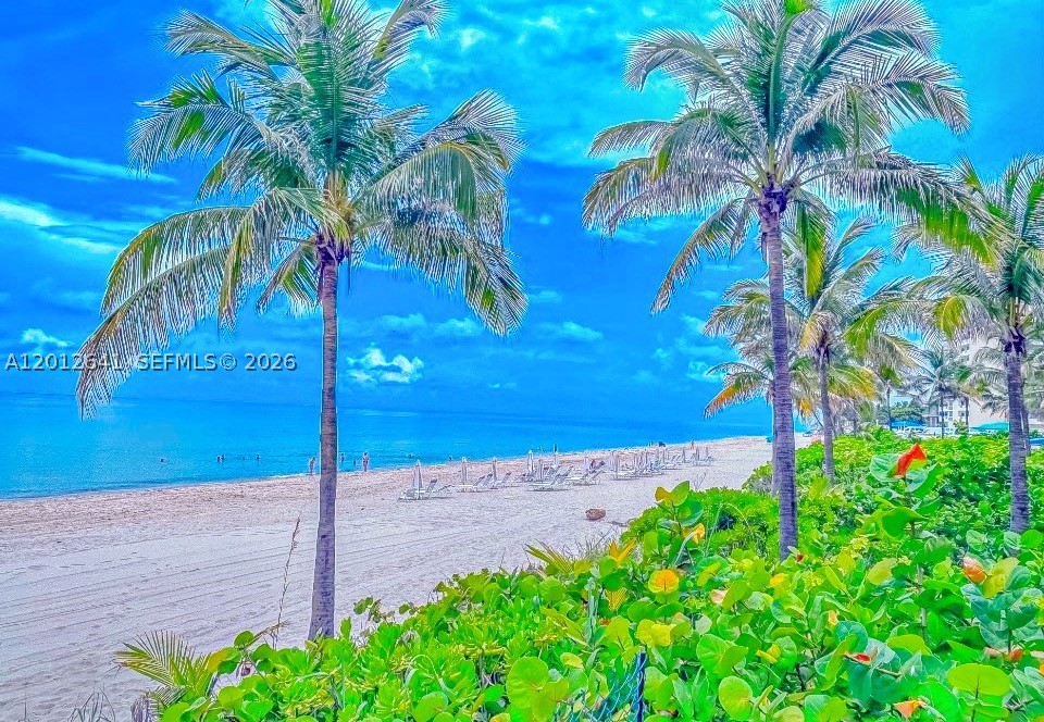 Hallandale Beach photo 3