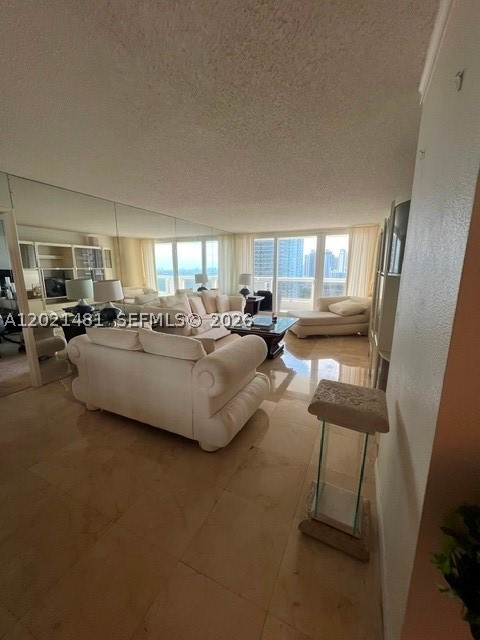 Miami photo 3