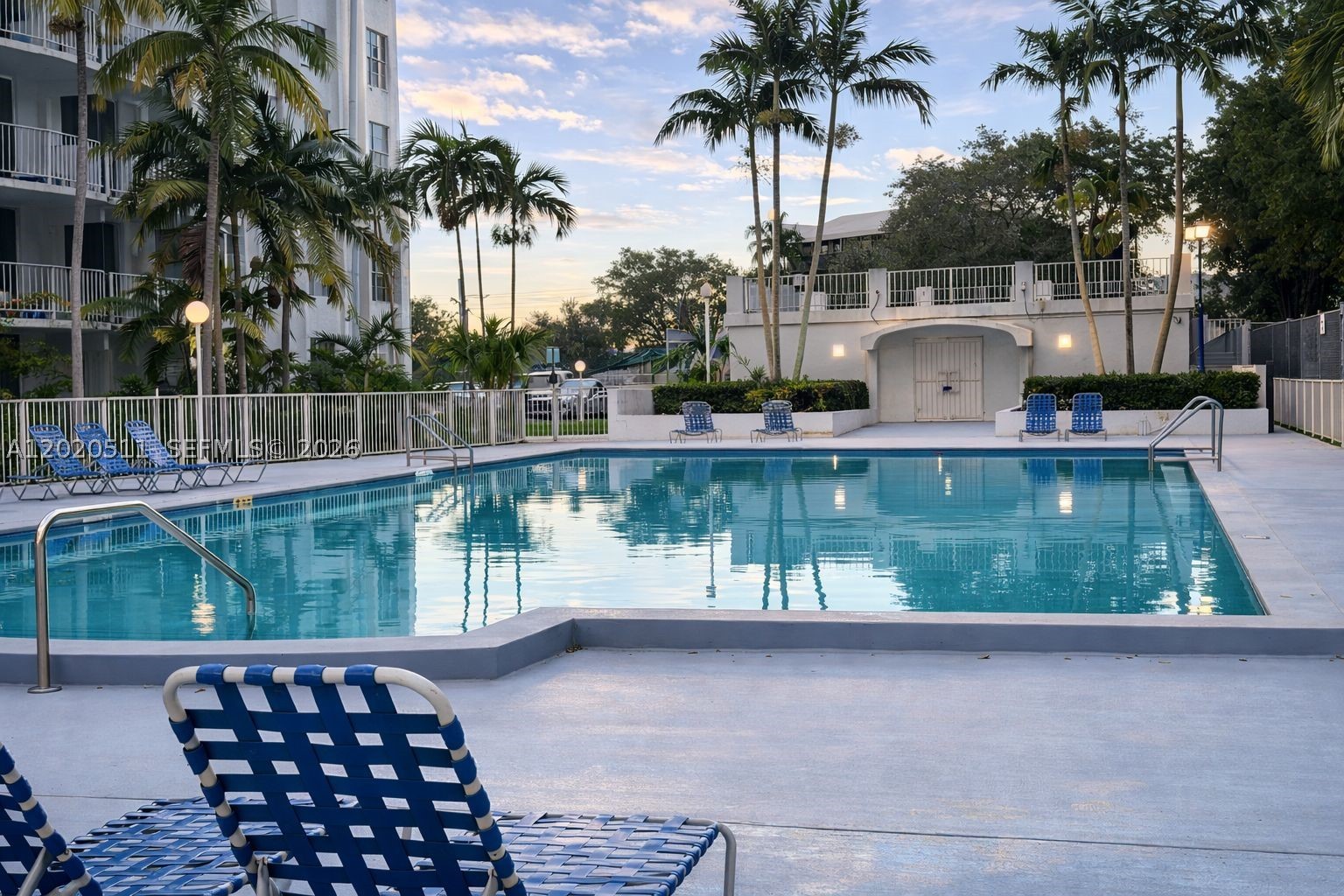 Miami photo 1