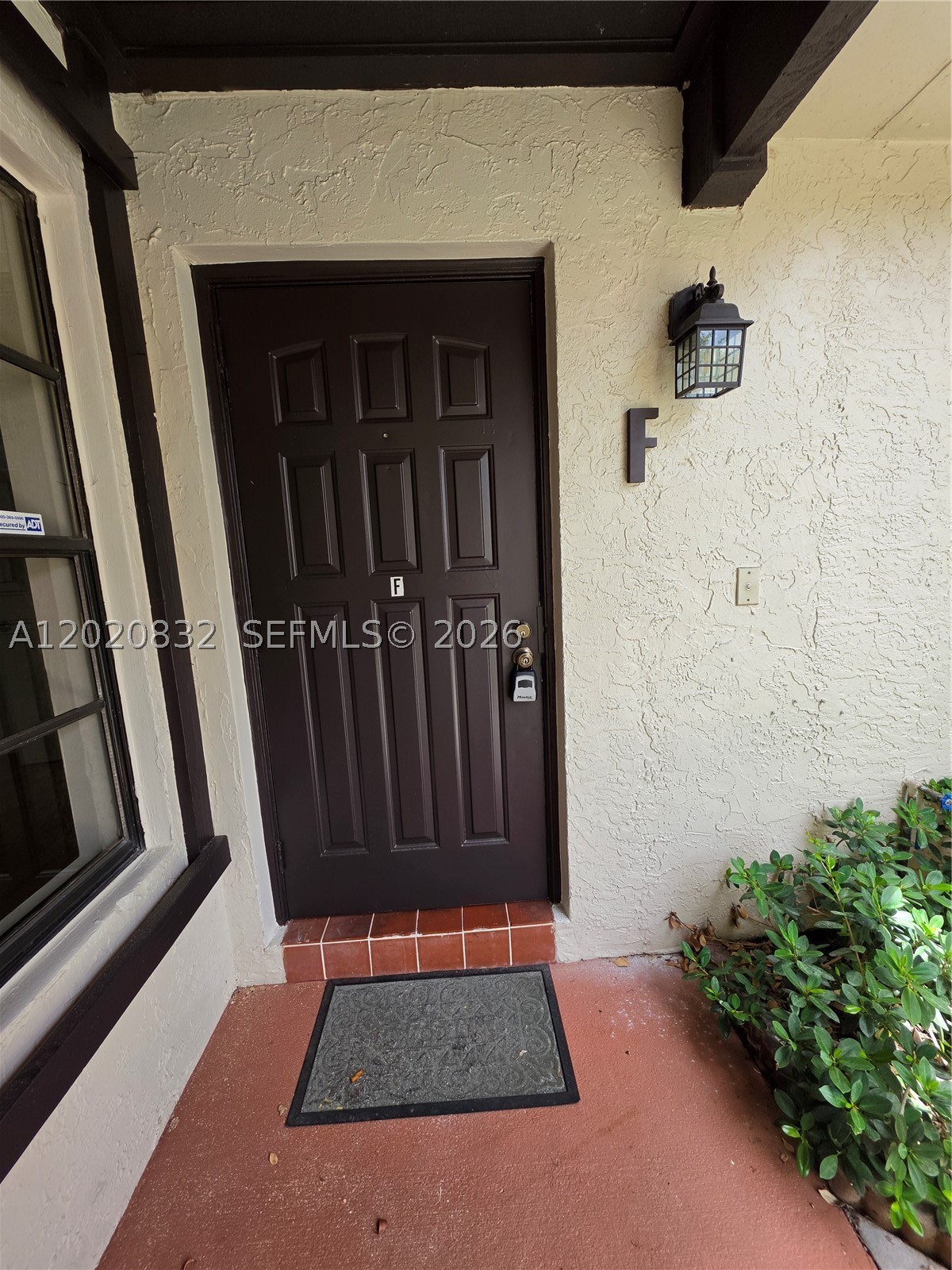 Miami photo 5