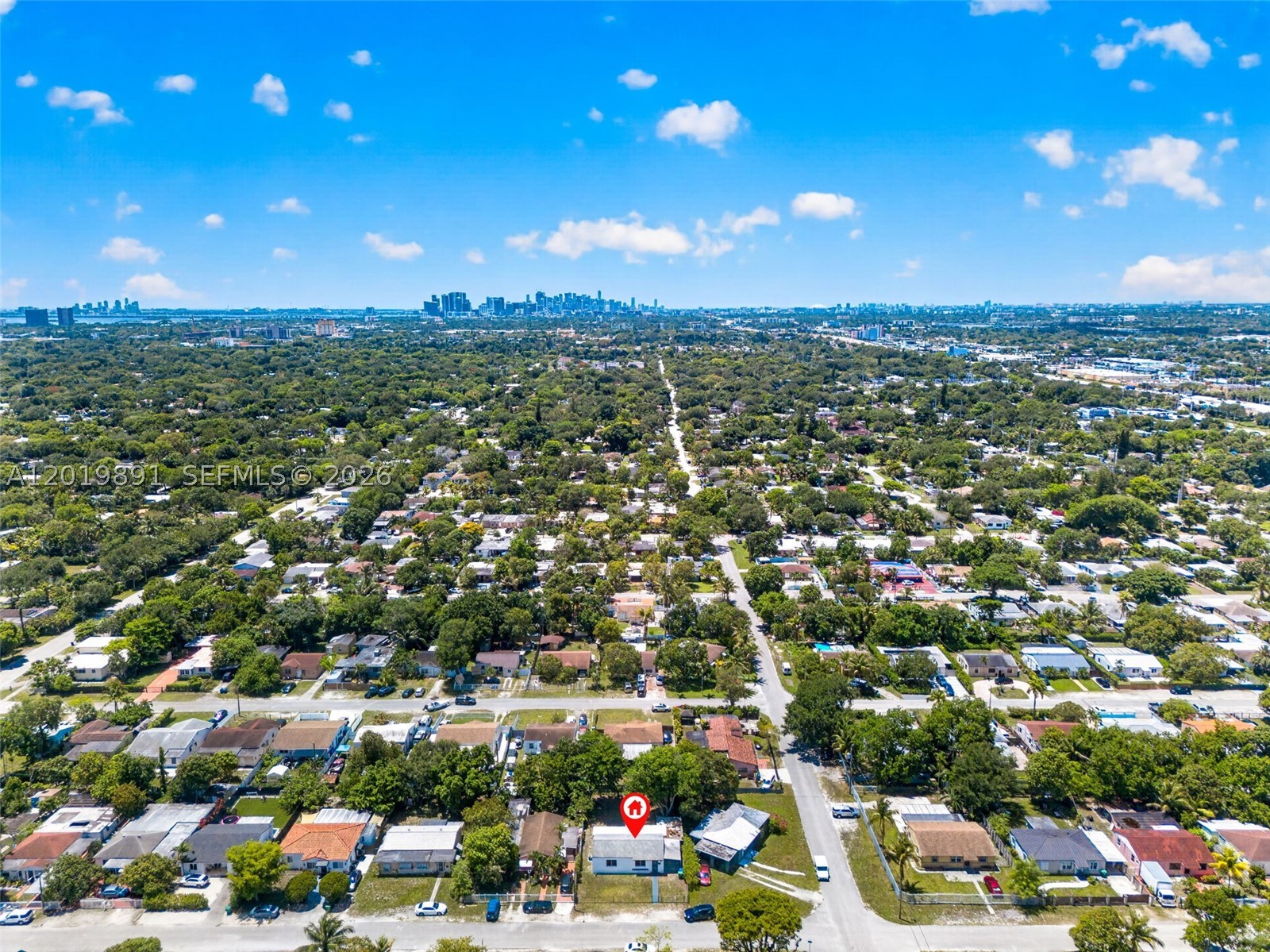Miami photo 5