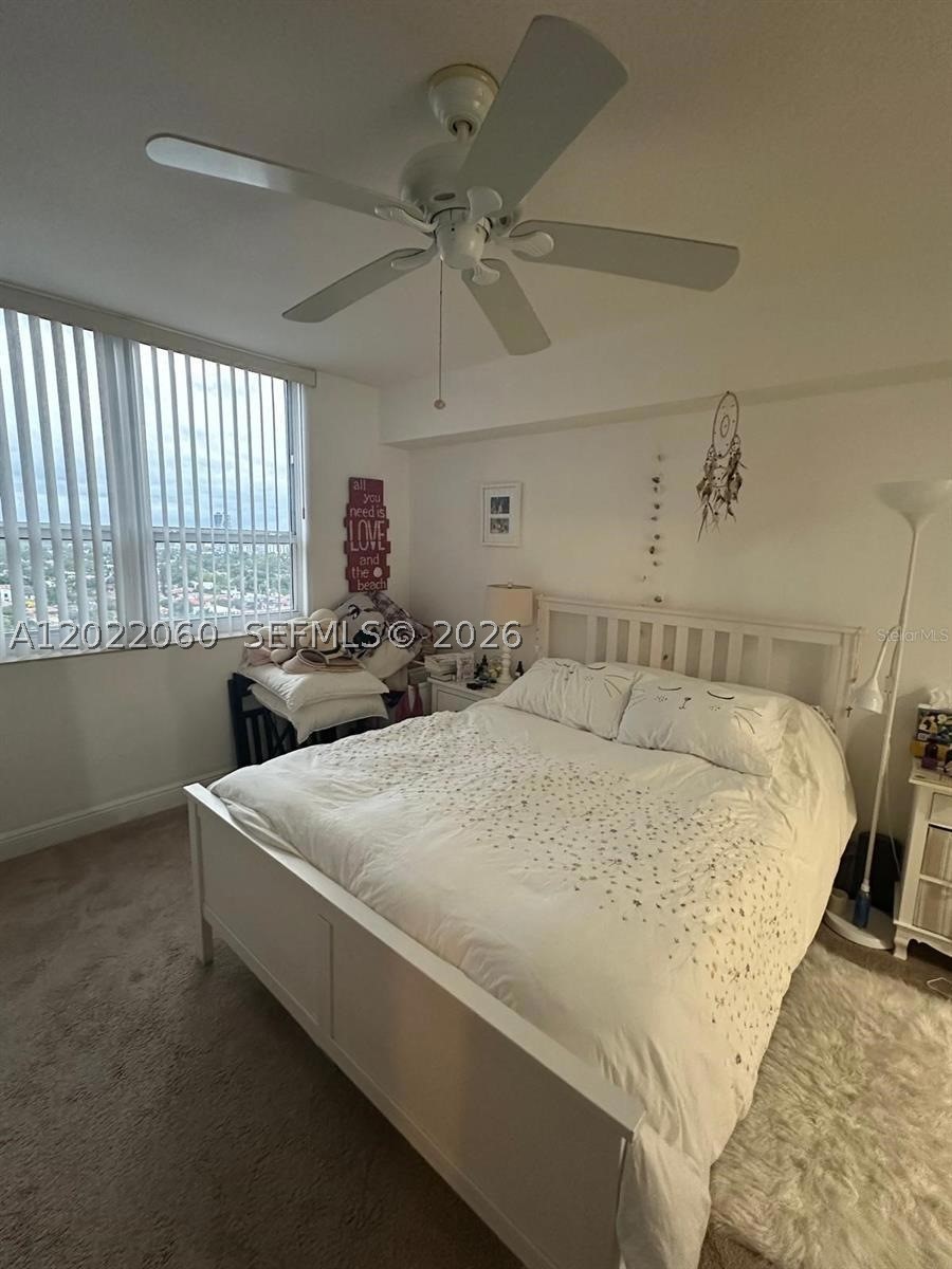 Miami photo 3