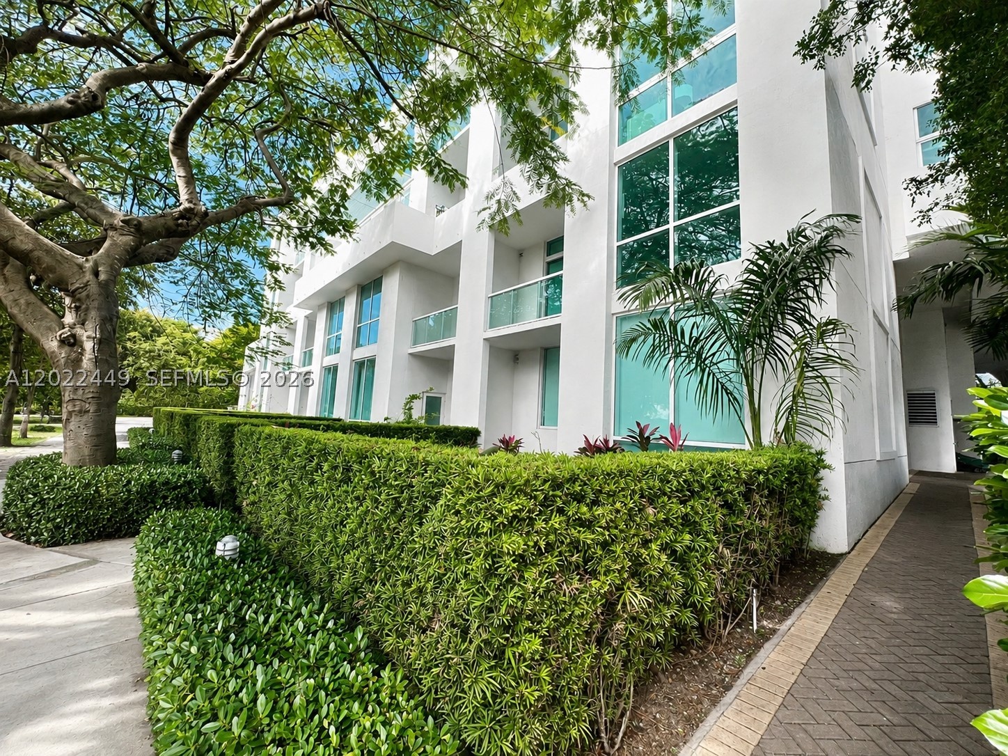 Miami photo 1
